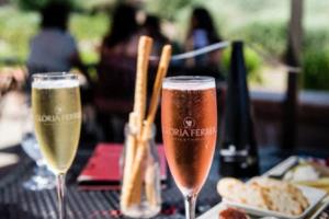 2026年世界杯,一场改变全球足球格局的盛会2026年世界杯举办时间