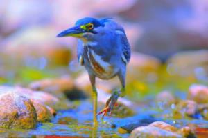 2023年世界杯预选赛积分榜,竞争激烈,潜力无限世界杯预选赛积分榜