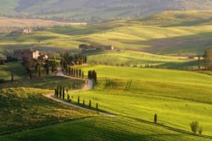 国足晋级世界杯亚洲区预选赛赛程安排及分析世界杯亚洲区预选赛国足最新赛程